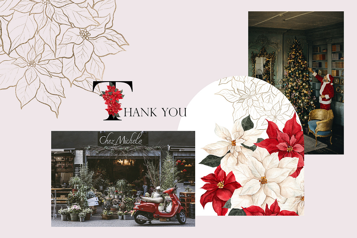 Poinsettia. Christmas Flower, an Object Illustration by ma_i_vi (Photo 10 of 10)