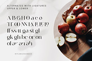 Volgarie - Modern Serif Font, a Serif Font by Flawless And Co (Thumbnail 5 of 10)