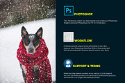 Soft Snowfall Photoshop Action, an Action Add-On by Design Forest (Thumbnail 2 of 10)