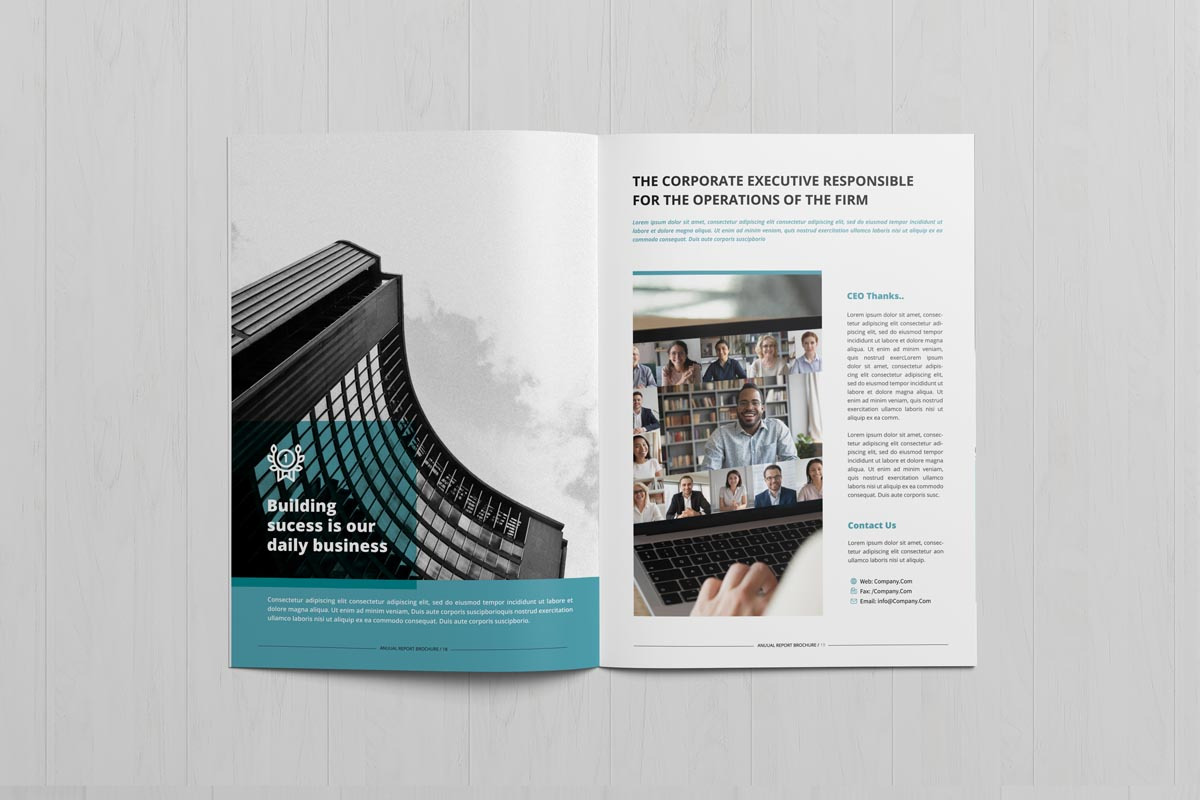Annual Report Brochure, a Brochure Template by New Lines (Photo 6 of 8)