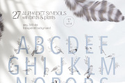 Charming forest - BUNDLE 4 in 1, a Decorative Illustration by Yuliia Lashevska (Thumbnail 10 of 26)