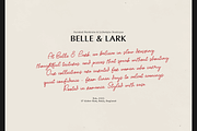 Softspoken | Casual Handwritten Font, a Script Font by gracetype_studio (Thumbnail 3 of 12)