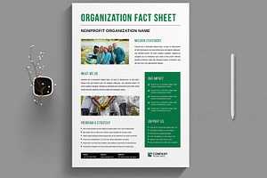 Nonprofit Organization Fact Sheet, a Flyer Template by MightyDesign