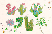 Kids Crayon Succulent Clipart, a Healthcare Illustration by Lucyinyourheart (Thumbnail 3 of 6)