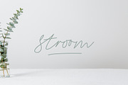 Stroom - Signature Script Font, a Script Font by Colt Type Co (Thumbnail 1 of 10)