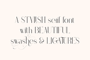 Stolen Love - Elegant serif typeface, a Serif Font by VP Fonts (Thumbnail 2 of 34)