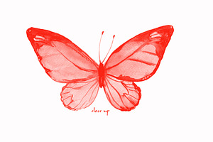 Photoshop Brush Watercolor Butterfly