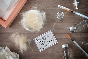 Pet allergy vaccine set on wooden table with handkerchiefs, a Health & Medical Photo by Davizro's Market