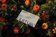 0001 Business Card | Design Template, a Marketing Template by Nurture Design Co. (Thumbnail 3 of 3)