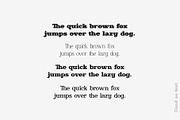 Ronald Gunfire Serif Font Family, a Slab Serif Font by Sentavio (Thumbnail 4 of 12)