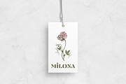 Vintage Botanical Illustrations, a Decorative Illustration by youtoview (Thumbnail 13 of 14)