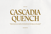 Regalorn - Elegant Serif Display, a Serif Font by Shapespired Design (Thumbnail 4 of 20)