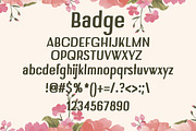 Badge Summer Font, a Font by DmDesignsStoreArt (Thumbnail 2 of 2)