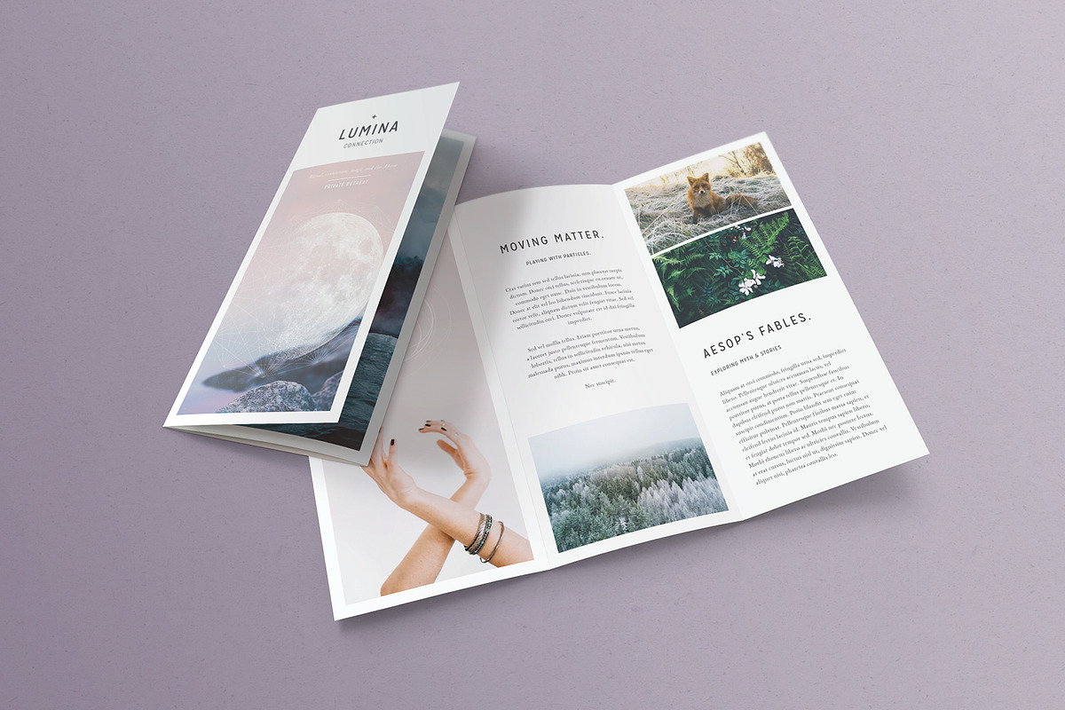 LUMINA Trifold Brochure, a Brochure Template by 46&2 Collective (Photo 2 of 9)