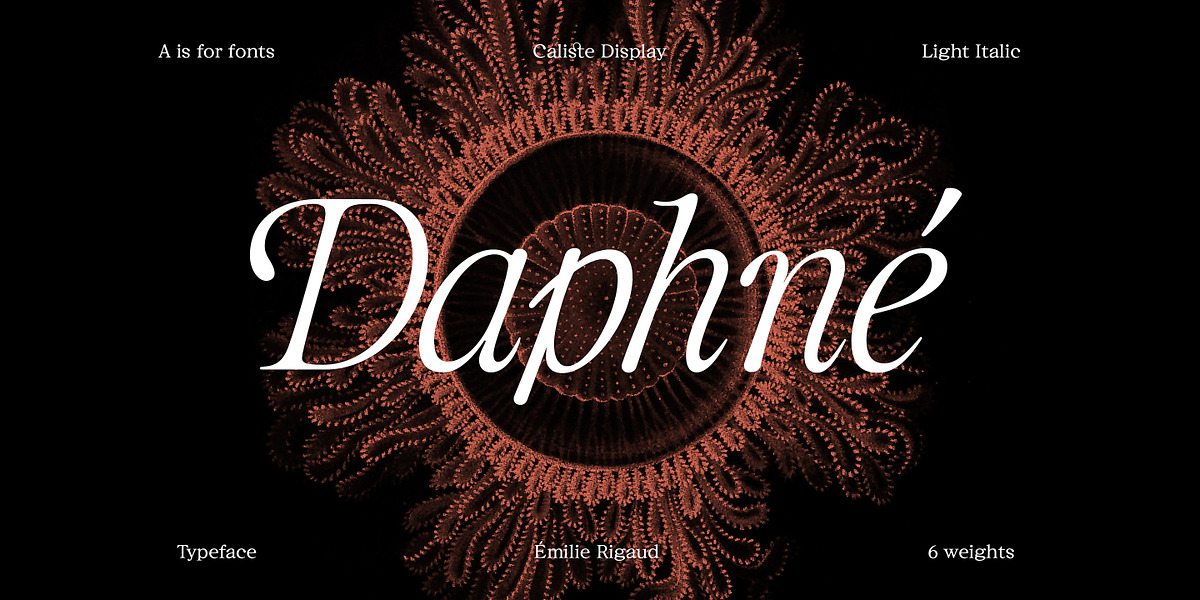 Caliste Display, a Serif Font by A is for... (Photo 4 of 10)