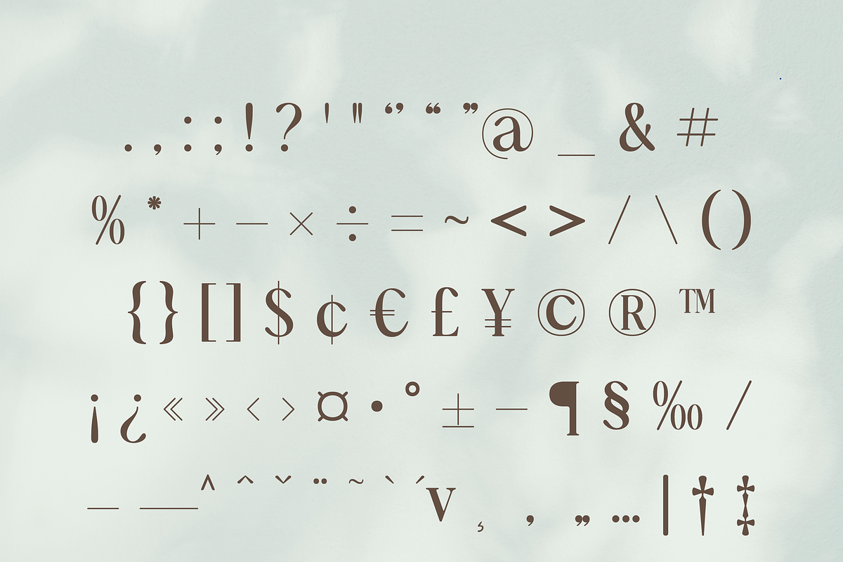 Artigianale Serif, a Serif Font by Creative Foundry (Photo 8 of 8)