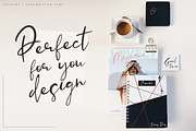 Selrany, a Script Font by Larin Type Co. (Thumbnail 3 of 7)