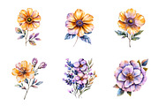 Watercolor Summer Wildflowers Png, an Illustration by SinaCreation (Thumbnail 3 of 9)