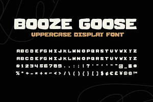 BOOZE GOOSE MESSY DISPLAY FONT