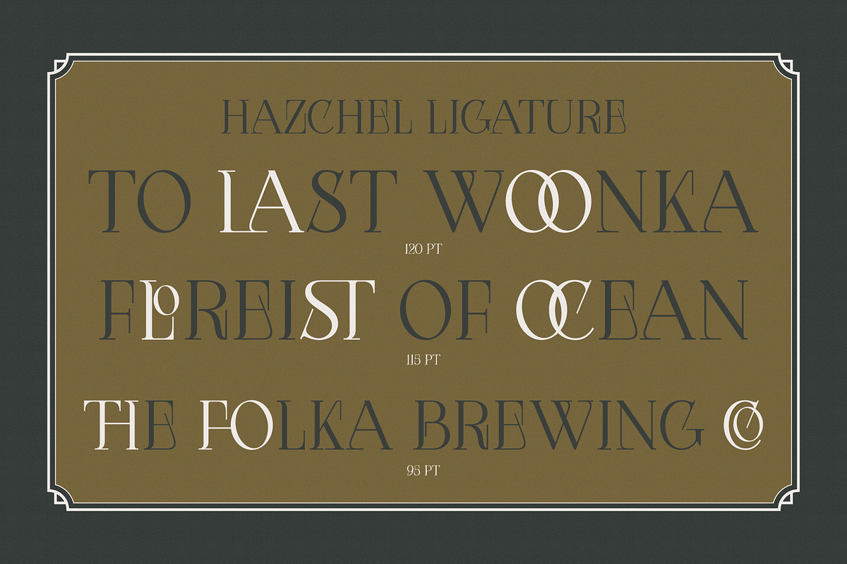 Hazchel, a Serif Font by Amera Type (Photo 9 of 11)