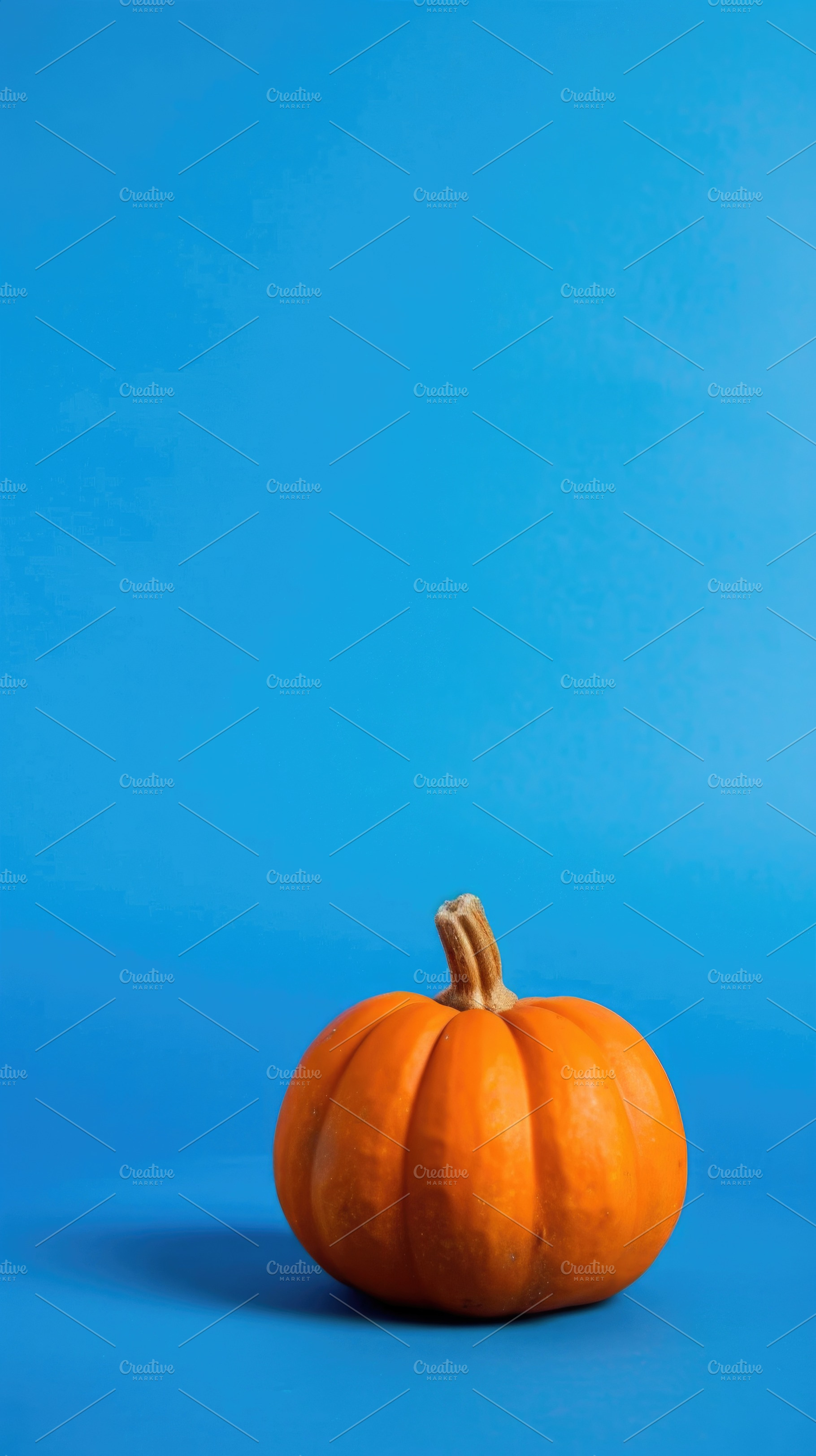Single orange pumpkin on blue background with copy space, a Food & Drink Photo by José Manuel Gelpi