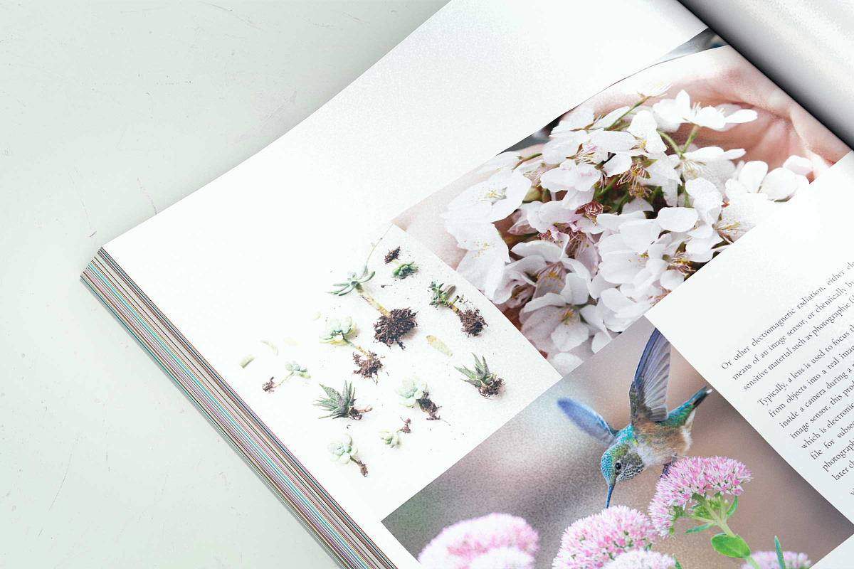 SEASON Travel / Photography Magazine, a Magazine Template by Wolfgang Design (Photo 10 of 11)