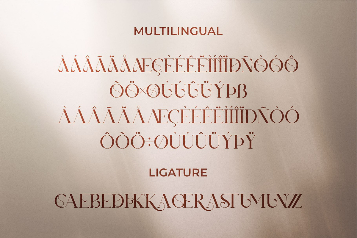Xerina || Modern Serif Font, a Serif Font by Idea Studio (Photo 10 of 10)