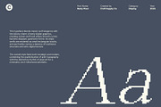 Renly Pixel, a Serif Font by Craft Supply Co. (Thumbnail 4 of 8)