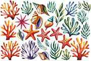 Watercolor Sea Shells & Coral Set, an Object Illustration by Whimsy Brush Studio (Thumbnail 6 of 9)