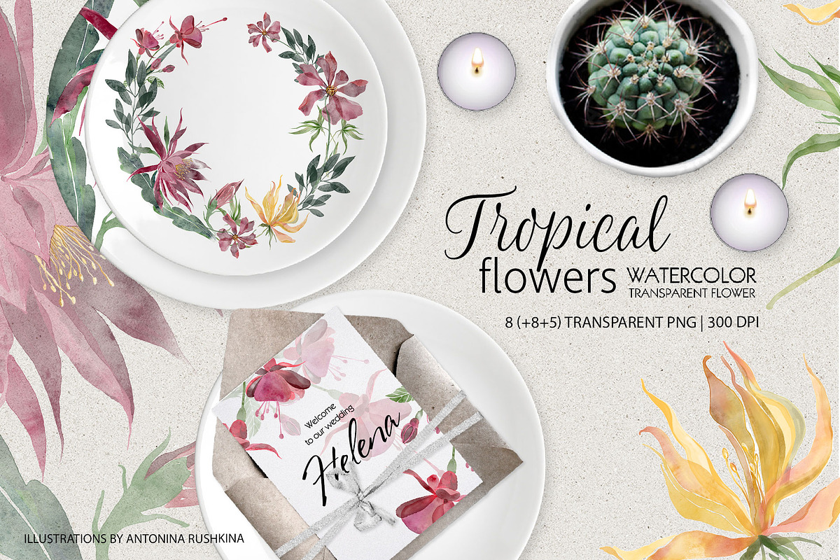 Set of transparent watercolor flower, a Decorative Illustration by RushkinaAntonina (Photo 3 of 5)