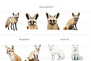 Fox Illustration Clipart, Arctic Fox, an Animal Illustration by BrushstrokeArtGB (Thumbnail 2 of 9)