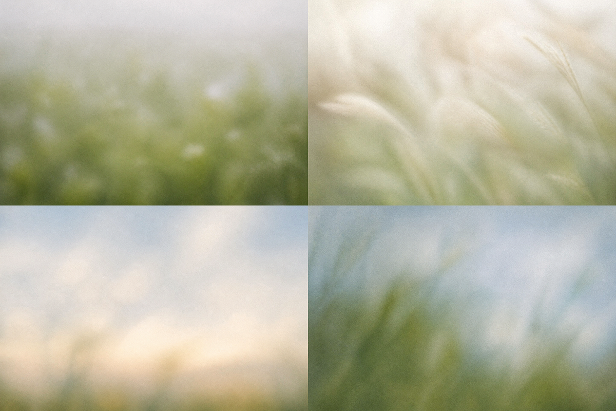 Dreamy Blurry Flower Backgrounds, a Background Graphic by Refancy (Photo 10 of 12)