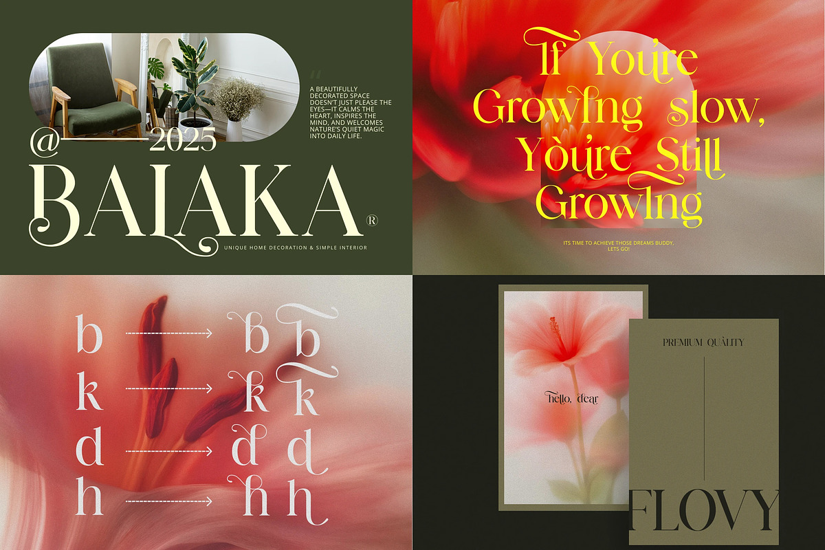 Stylish Serif - 6 Font Bundle, a Serif Font by Brand Earth (Photo 6 of 8)