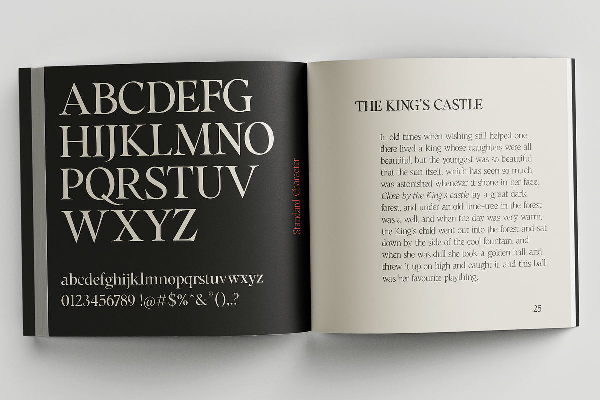 Cita Pro Serif Family, a Serif Font by xdCreative (Photo 10 of 10)