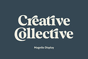 Magnilo Display, a Serif Font by Mulkan Nazir (Thumbnail 3 of 18)