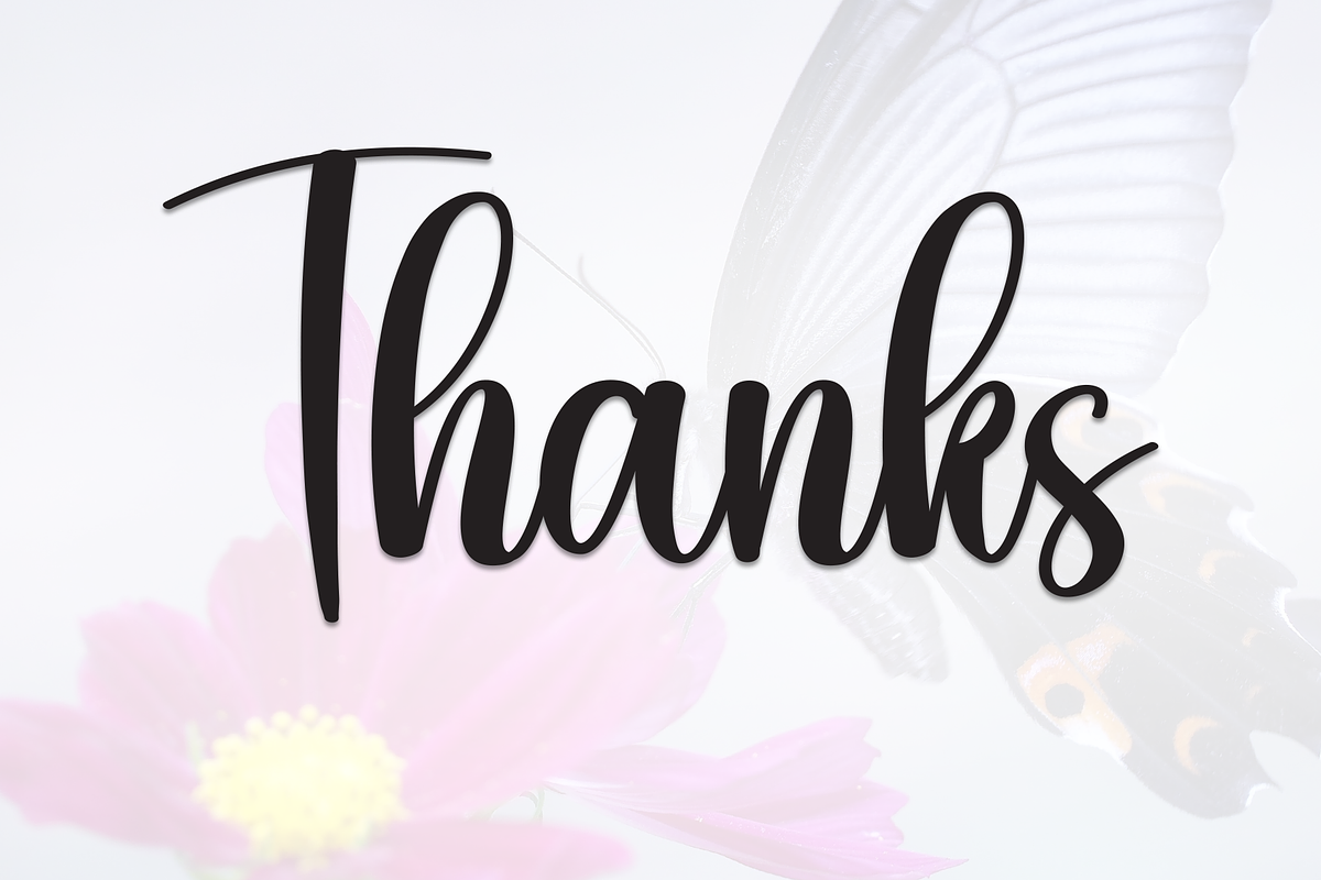 Butterflies | Script Font, a Handwritten Font by Scratchones (Photo 9 of 9)
