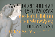 Alright - Elegant Serif Typeface, a Serif Font by Anna Zakharchenko (Thumbnail 8 of 12)