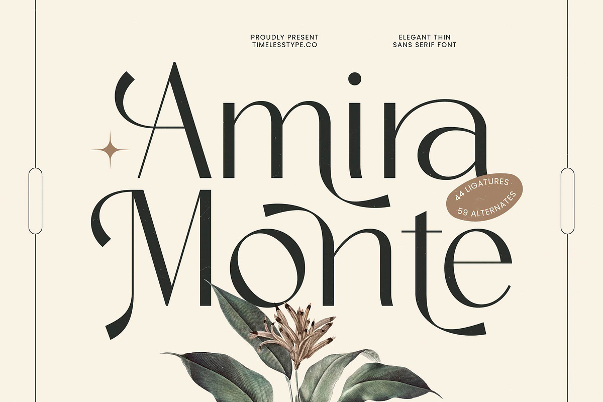 Amira Monte Elegant Display Font, a Sans Serif Font by timelesstype.co (Photo 1 of 20)