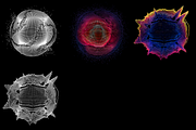 16 Abstract Glitch Point Spheres, an Object Graphic by GarryKillian (Thumbnail 4 of 4)