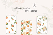 Apricots & Flowers watercolor summer, a Seasonal Illustration by Yuliia Lashevska (Thumbnail 8 of 11)