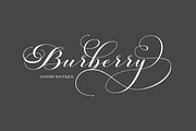 Bologna Script, a Script Font by Has_rizal (Thumbnail 9 of 13)