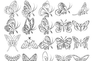 Butterflies Set 1-5 Procreate Brush