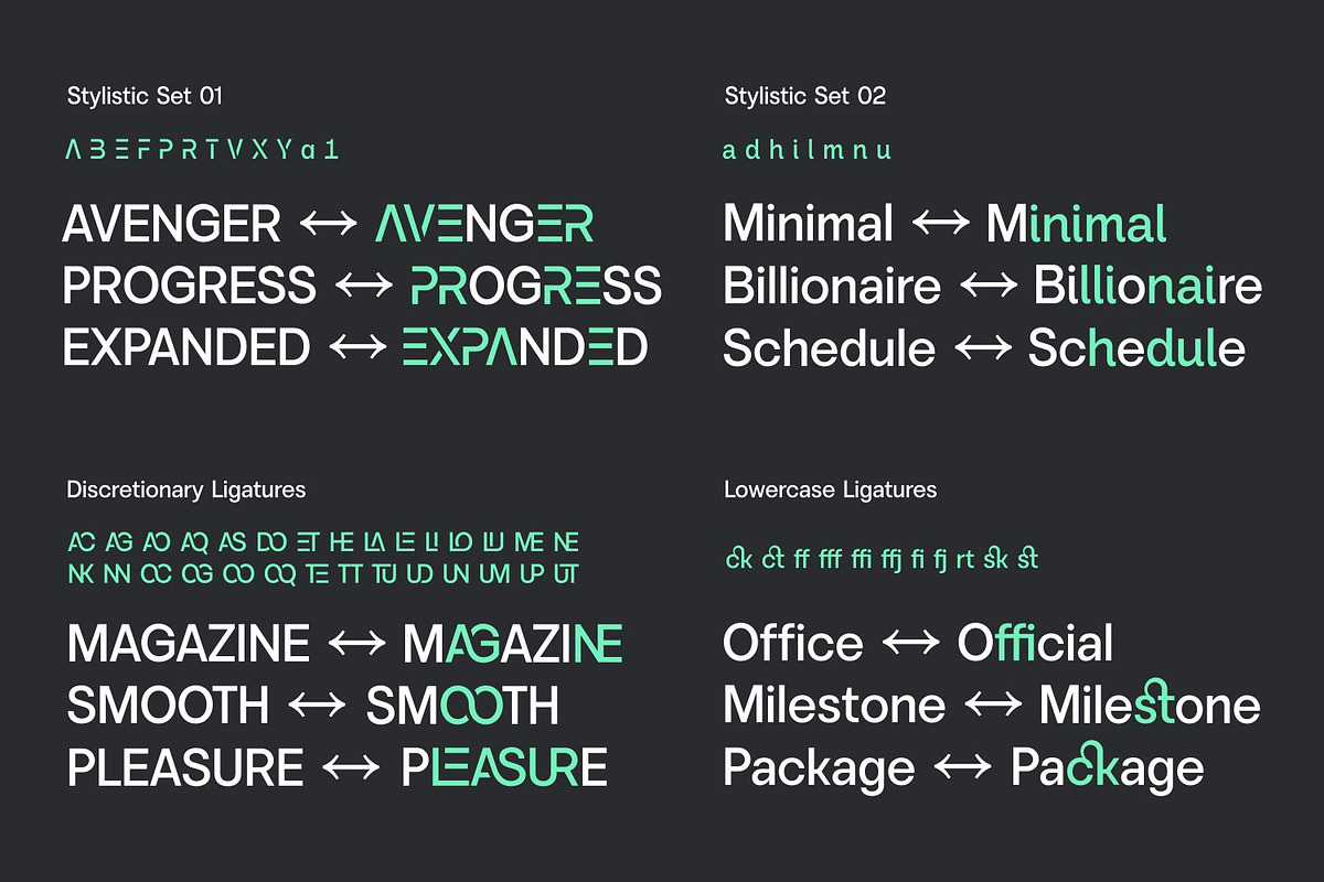 Vontica Sans Font Family, a Sans Serif Font by Asenbayu (Photo 14 of 15)