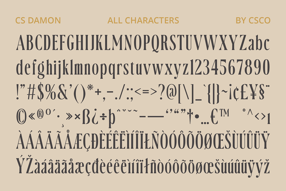CS Damon – Condensed Font, a Serif Font by Craft Supply Co. (Photo 6 of 8)