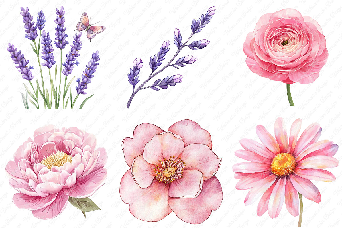 Lavender & Pink Flowers Watercolor, an Illustration by Watercolor design (Photo 3 of 13)