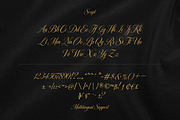 Auraluxe – The Luxury Font Trio, a Script Font by Creacy Studio (Thumbnail 10 of 10)