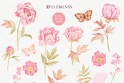Marshmallow Watercolor Peonies, an Illustration by Irina Diasli (Thumbnail 2 of 12)