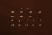 Ramick Elegant Ligature Serif Font, a Serif Font by Graphicxell (Thumbnail 8 of 8)