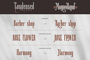 Magnolland, a Serif Font by kerismaker (Thumbnail 5 of 12)