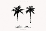 Palm Trees, an Object Illustration by PeDe Designs (Thumbnail 2 of 9)